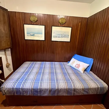 Turistico Indipendente Con Giardino דירה